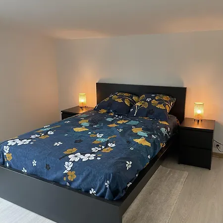 Maison Paisible Elegante Climatise Cdg Jo